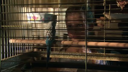 La Mutante 3 Bande-annonce VO