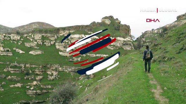 Siirt'te yiyecek arayan domuz sürüsü görüntülendi