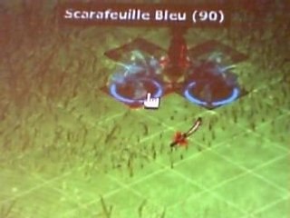 dofus avec milouze feca