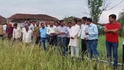 प्रभावित फसलों का सर्वे कार्य प्रारंभ