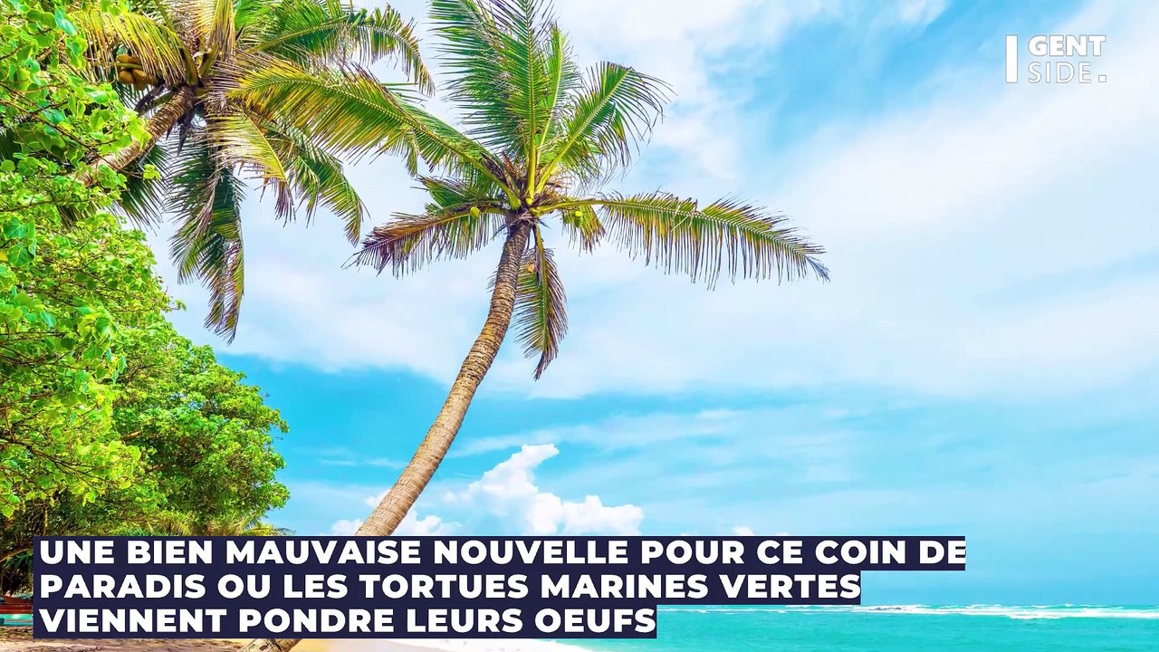 D' "horribles" roches de plastiques apparaissent sur cette île et ce n'est pas une bonne nouvelle