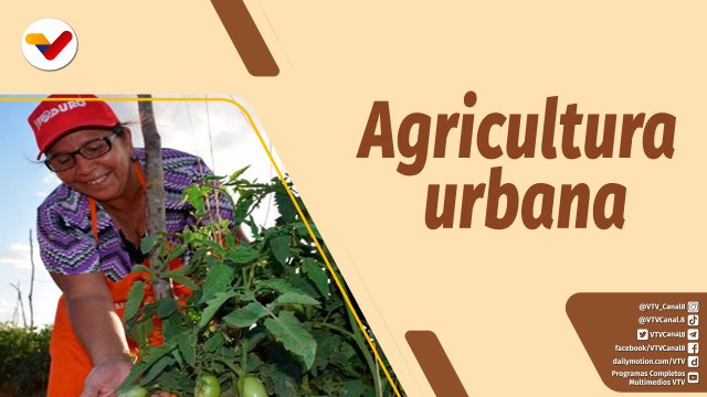 Café en la Mañana | Comuna Zona Norte afianza crecimiento alimentario en Caracas