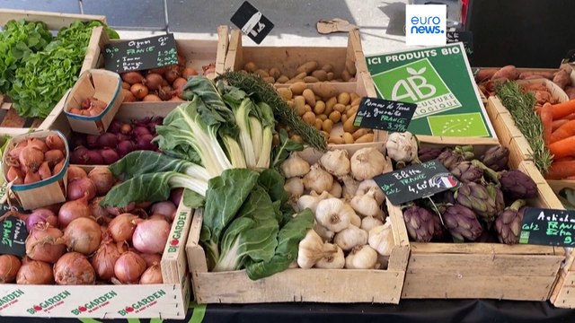 ЕС борется с зелёным отмыванием загрязняющих среду товаров