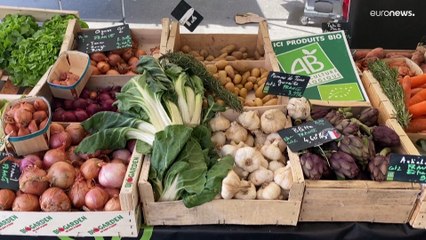 L'UE s'engage à sévir contre le greenwashing en adoptant de nouvelles règles d'étiquetage