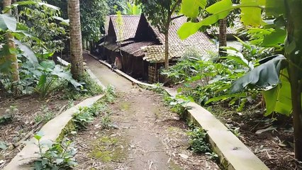 Jelajah jalan setapak pelosok pedesaan yang penuh sensasi ║Lumpang misterius di jalan setapak