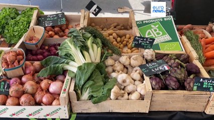 L'Ue contro il greenwashing delle etichette ingannevoli