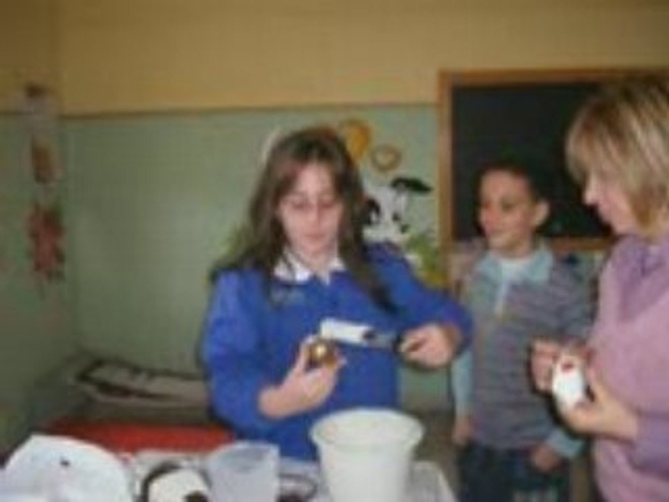PROGETTO COMENIUS 2007-08 ALIMENTAZIONE
