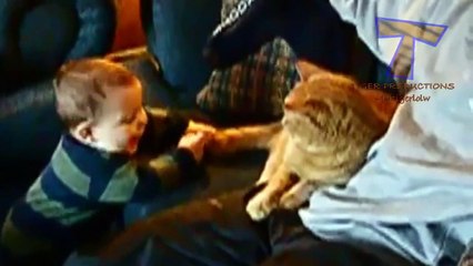 Funny babies annoying cats - Cute cat & baby compilation