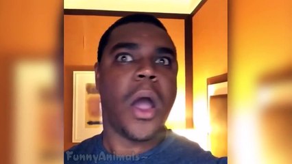 Ultimate Funny Animals Vines Compilation