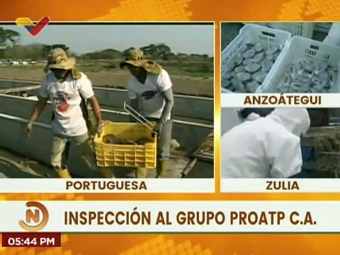 Portuguesa | Grupo Proatp C.A. garantiza eficiencia e innovación en la cría de peces