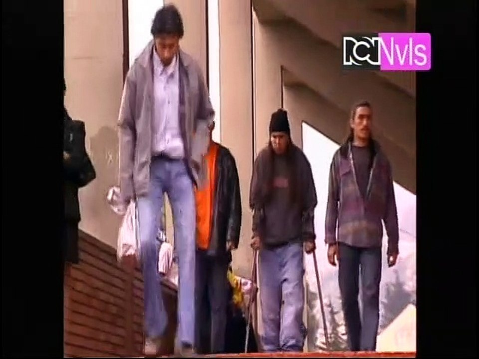 pandillas guerra y paz Cap 208 La pandilla se reune de nuevo