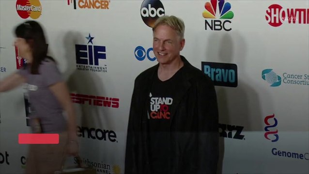 What? An 'NCIS' Comeback For Mark Harmon and Pauley Perrette?