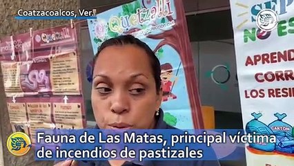 Fauna de Las Matas, principal víctima de incendios de pastizales