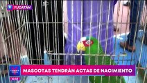 Expedirán actas de nacimiento para mascotas en Yucatán