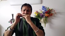 Tum Agar Saath Deneka Wada Karo-Film Hamraaz 1967 on Mouth Organ Live Performance by Mukund Kamdar