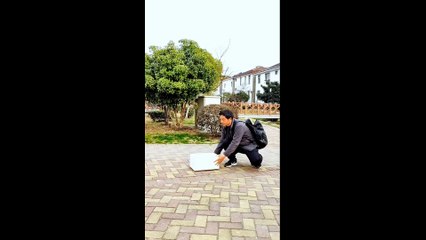 Entertaining videos