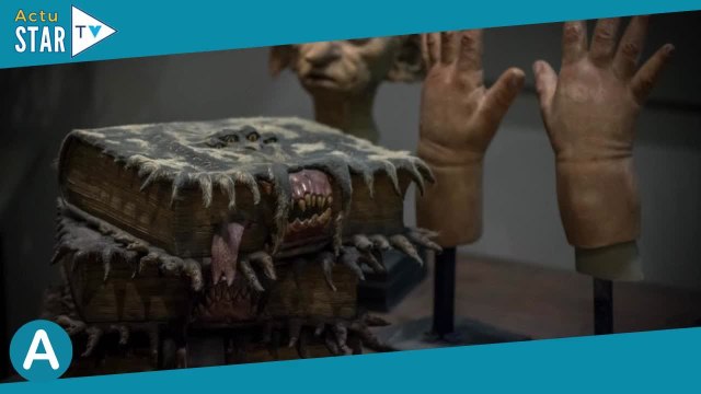 Promo très alléchante sur ce Choixpeau Magique Harry Potter