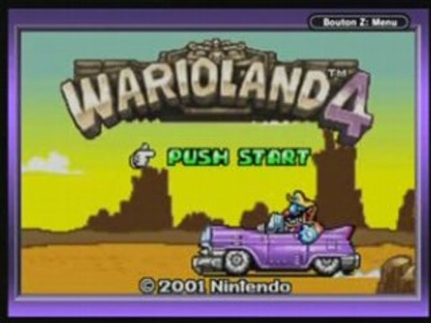 ingame Wario Land 4