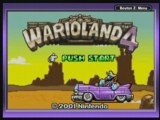 ingame Wario Land 4