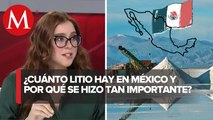 Los principales usos del litio en México | La Data