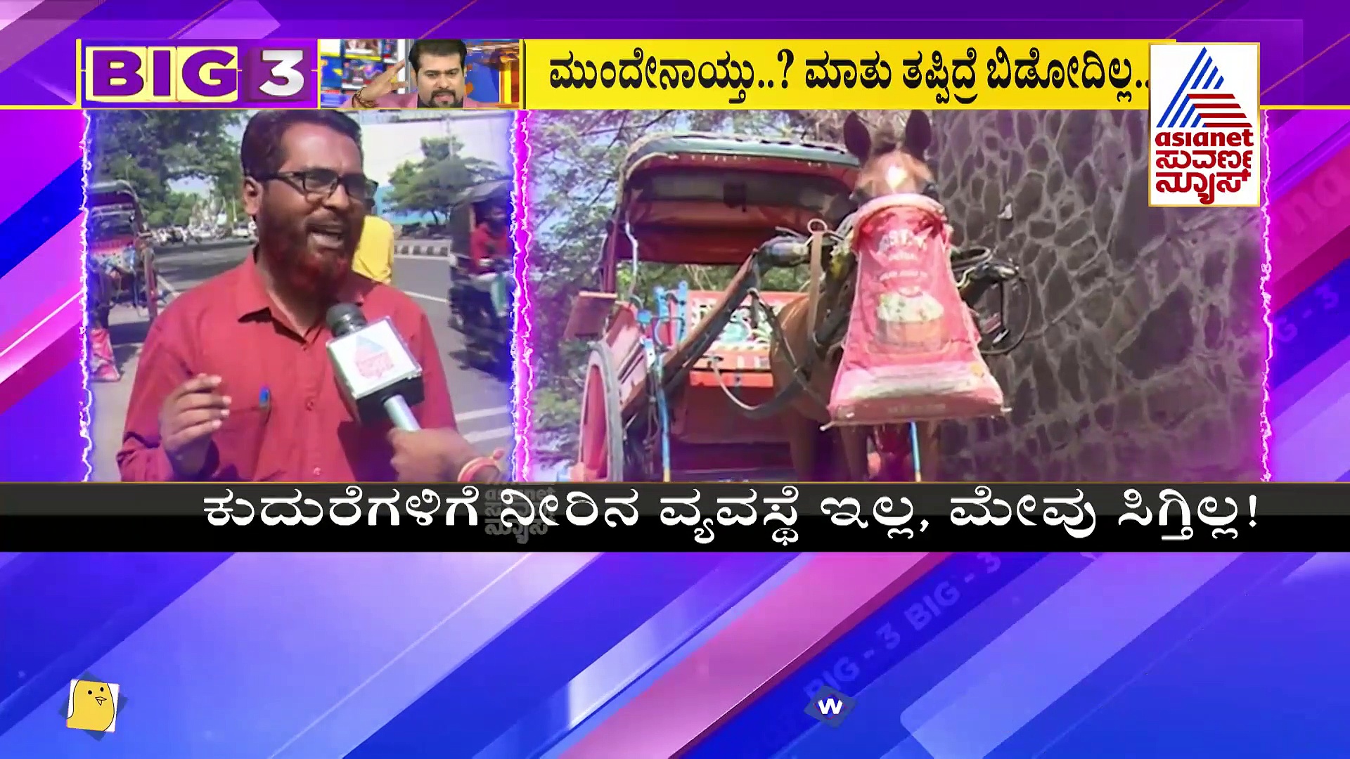 BIG 3: ನೀರಿಲ್ಲದೇ, ಮೇವಿಲ್ಲದೇ ನರಳಾಡುತ್ತಿದ್ದ ಟಾಂಗಾ ಕುದುರೆಗಳ ನೆರವಿಗೆ ಧಾವಿಸಿದ ಅಧಿಕಾರಿಗಳು!