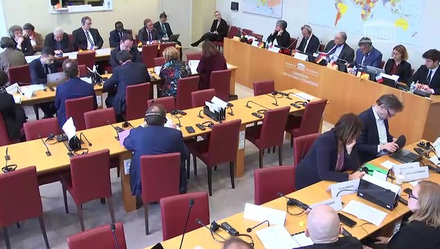 Commission des affaires étrangères : Réunion-débat avec une délégation de la commission des affaires étrangères du Bundestag allemand - Mercredi 22 mars 2023