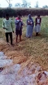 ओला से फसल बर्बाद- अब दादा का इलाज, बहन की शादी और ट्रेक्टर की किस्त कैसे भरेगा राहुल