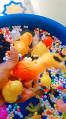 Bath Time for Toy Animals #shorts #toysforkids #trendingshorts #viralshorts