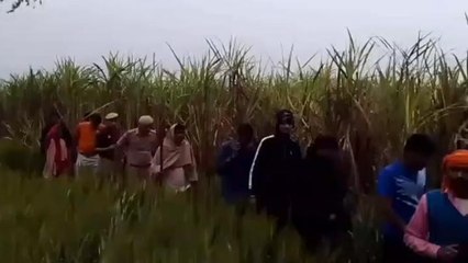 बिजनौर:24 घंटे बाद ही गांव में गुलदार की दस्तक से एक बार फिर मचा हडकंप