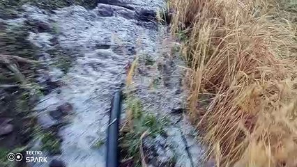 1 लाख हेक्टेयर फसल प्रभावित, 15 प्रतिशत हो गई बर्बाद