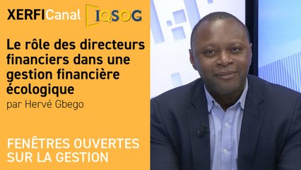 Le rôle des directeurs financiers dans une gestion financière écologique [Hervé Gbego]