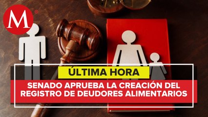 Deudores alimentarios no podrán sacar pasaporte o ser candidatos en elecciones, determina Senado