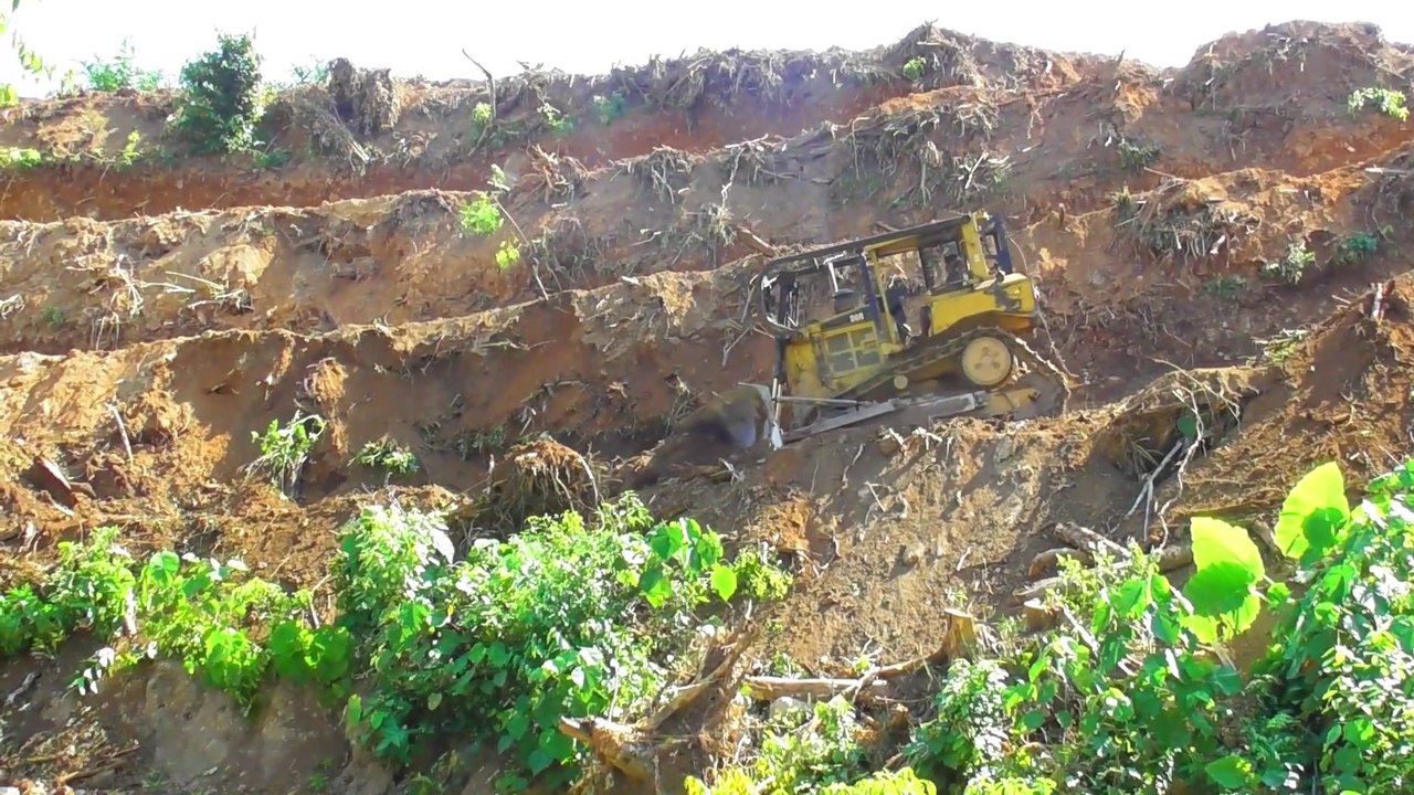 Nearly Done Bulldozers Working on Palm Oil Land || Bulldozers D6R XL