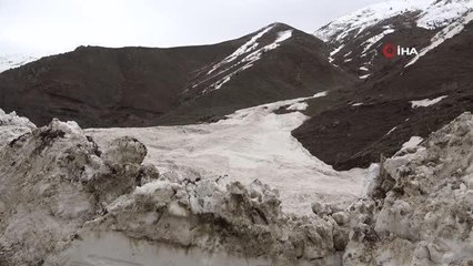 Üzerine çığ düşen 200 ağaç zarar gördü