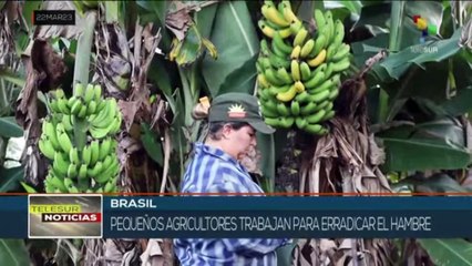 Brasil: Presidente Lula relanza Programa de Adquisición de Alimentos