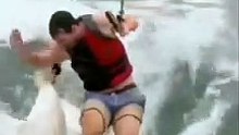 Short Funny Compilation (67)