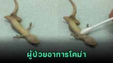นาทีชีวิต เมื่อต้อง CPR จิ้งจกตกถังน้ำแข็ง ลุ้นทั้งโซเชียล เรามาถึงจุดนี้ได้ไง