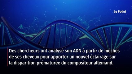 Beethoven : une analyse ADN révèle plusieurs maladies, mais pas sa surdité