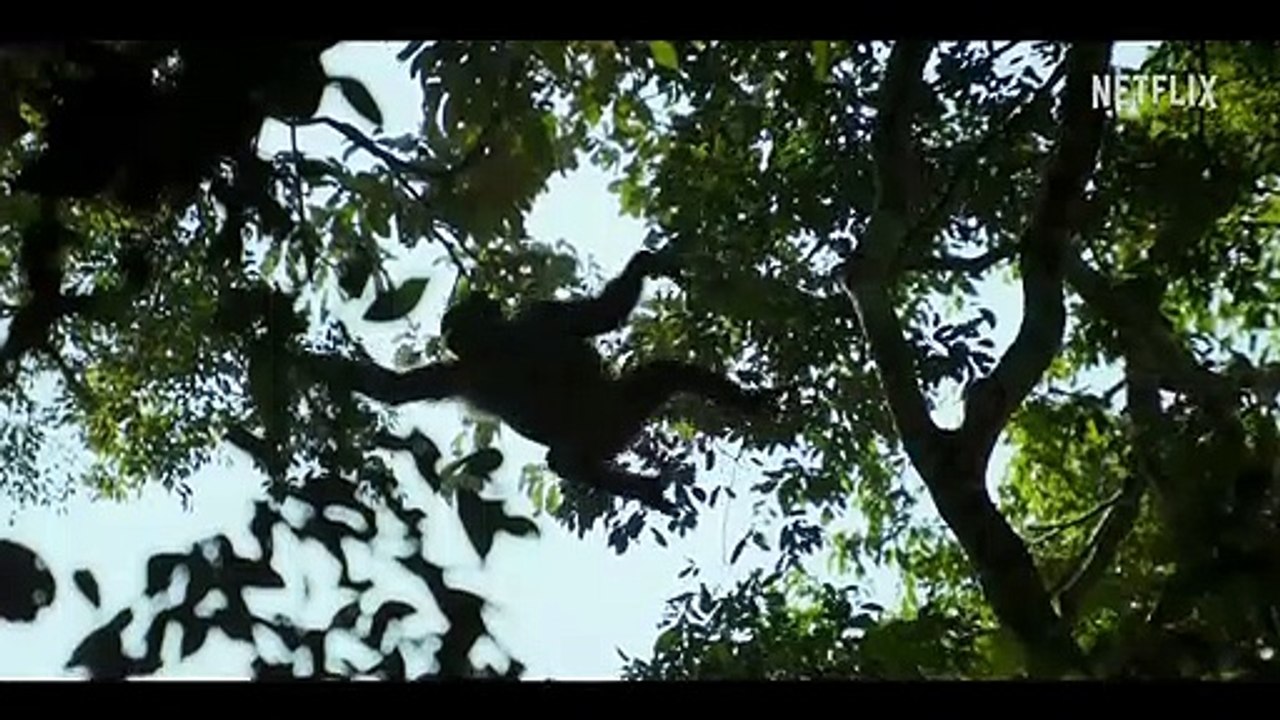 Chimp Empire Trailer OV