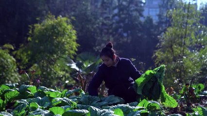 Tofu Made of Blood- Colorful and Flavorful Delicacy