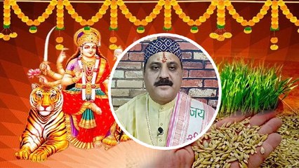 Chaitra Navratri 2023: नवरात्रि में जौ उगना क्या संकेत देता है | नवरात्रि में जौ बोने का महत्व |