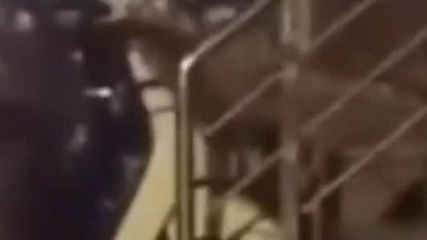 धार : इनामी यश जैन चढ़ा पुलिस के हत्थे देखे खास रिपोर्ट ...