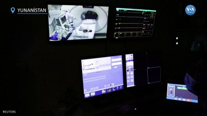 Çöpe Atılan Kaplan Yavrusu Tedavi Altına Alındı