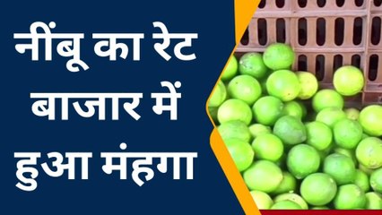 कौशाम्बी: मंडी और बाजार में नींबू का रेट बढ़ा ₹160 से ₹180 प्रति किलो बिक रहा नींबू