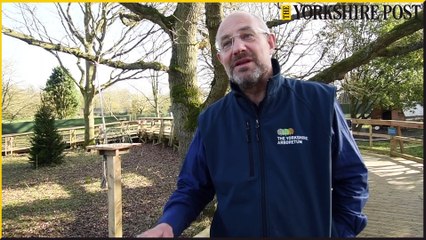 Rare Red Squirrels at the Yorkshire Arboretum as it plans to introduce small breeding group