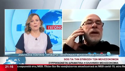 Ο Πρόεδρος της Ομοσπονδίας Μελισσοκόμων Ελλάδος, Α. Ποντίκης στο STAR