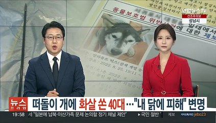 떠돌이 개에 화살 쏜 40대 검거…"내 닭에 피해" 변명