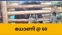 തകര്‍പ്പന്‍ പ്രകടനവുമായി, കാണികളെ അമ്പരപ്പിച്ച് ധോണി