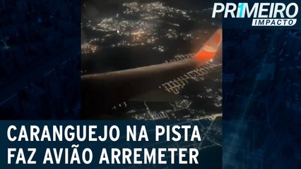 Caranguejo na pista obriga avião a arremeter em aeroporto de Vitória