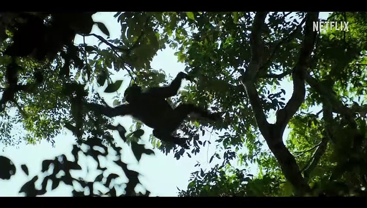 Chimp Empire S01